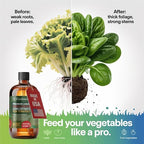 Liquid Power Watermelon Fertilizer - Premium Liquid Plant Food for Watermelon - Fast-Acting Concentrate for Growth, Strong Roots & High-Yield Harvest - 32 oz - Indoor & Outdoor Use