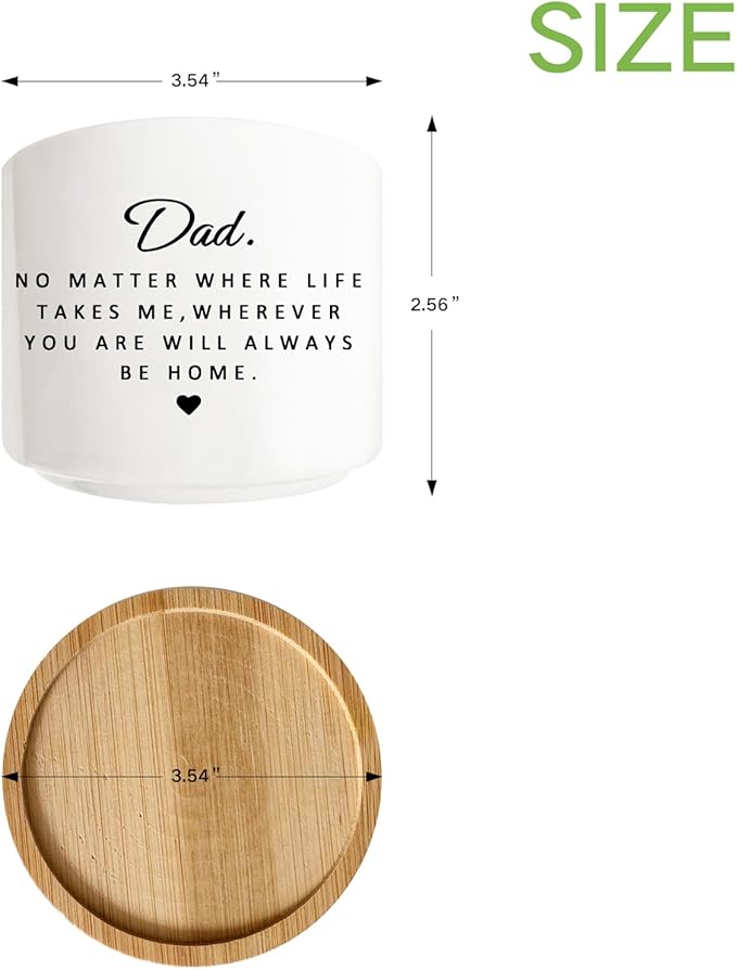 Succulent Planter Pot for Dad - Cute 3 Inch Plant Dad Gift from Daughter or Son with Bamboo Tray, Best Fathers Day Birthday Gardening Gifts for Dad, Grandpa, Husband