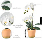 Avoeco Artificial Real Touch Orchid Plant – 15" Faux Phalaenopsis in Pot – Highly Realistic Silk Orchid Flower & Leaf Texture for Home, Office,Shop & Wedding Décor (1 White, 15“)