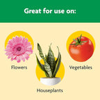 Miracle-Gro Shake 'N Feed All Purpose Plant Food - Outdoor and Indoor Plant Food for In-Ground and Containers, Feeds for up to 3 Months, 1 lb.