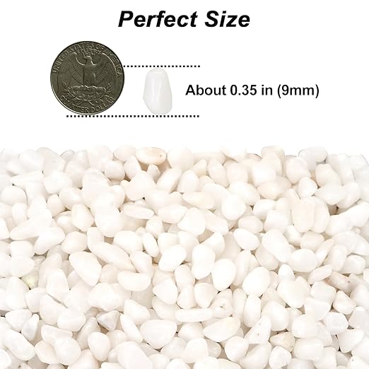 Landscaping Pebbles,River Rocks,Decorative Ornamental Pebbles,Garden Landscaping Stones,Gravel Filler for Home Decoration Flower Bed Fish Tank Plants Vases Succulents (1, White, 10 Pounds)