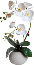 Forlaoers Tall 17" White Real Touch Orchid Artificial Flowers with Vase Fake Orchids Silk Floral for Home Decor Indoor Bathroom Decoration Potted Office Table Top Centerpieces Arrangements
