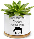 I Have Asked You Thrice Now for Water Ceramic Succulent Planter Pot, Funny Plants Pots Schitts Merchandise Gifts, for Women Mom Grandma Plant Lovers Gifts - 3.5 inch(Plant Not Included)
