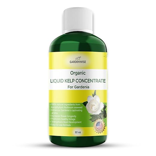 GARDENWISE Organic Premium Kelp Seaweed Fertilizer for Gardenia - Liquid Fertilizer - Liquid Plant Food - Nutrient-Rich Soil Enhancer - Natural Plant Food for Gardenia Plant (32 OZ)