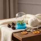 Bloomify Pitcher Plant – Live Nepenthes Tobaica – Zero Care Carnivore Plants Terrarium - Self-Sustaining Pitcher Plant Ecosystem – Great Gift for Birthdays, Christmas, Anniversaries