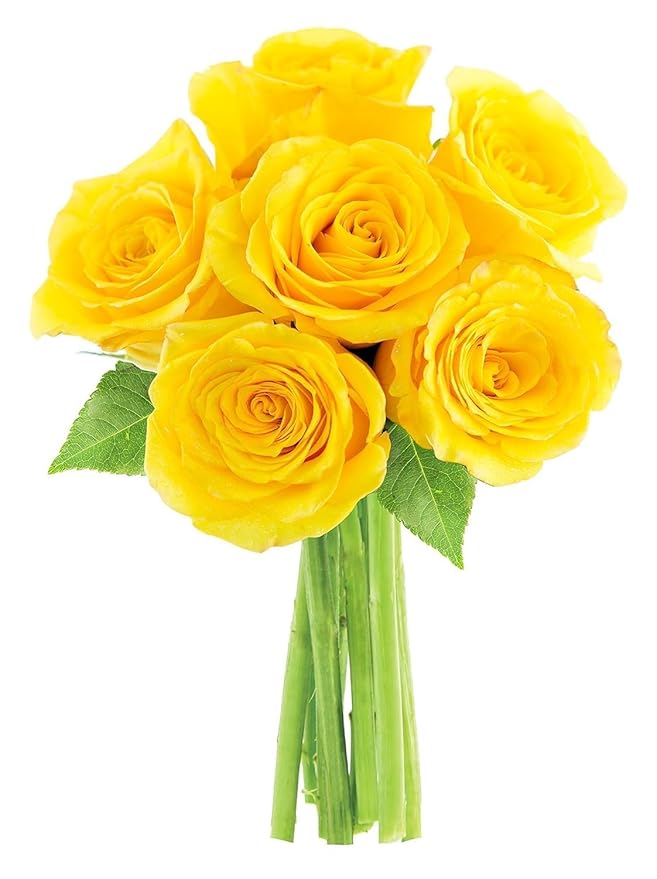 KaBloom - Yellow Roses 6 with Greens Bouquet - Fresh Flowers for Birthday, Valentine's & Mother's Day