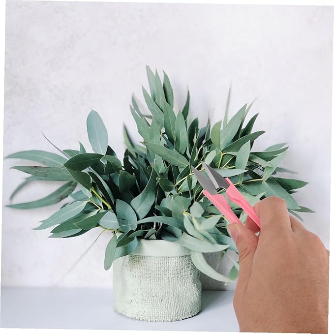 3-Piece Gardening Kit House Plant Accessories 16pc Mini Gardening Tools Set Plant Tweezers Garden Supplies Garden Tools Random Color