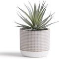 Kurrajong Farmhouse 8" high Artificial Plant in Pot - Small Faux Plant for Desk, Bathroom, Kitchen, Shelf & Coffee Table - Realistic Indoor Plant for Home Decor