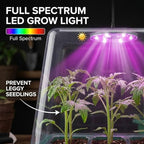 Seed Starter Kit with Grow Light, Elevated Seedling Tray Kit with Adjustable Humidity Dome and Clear Cell Tray, 12 Full Spectrum Led Beads for Seed Starting Greenhouse, 6 Pack, Green