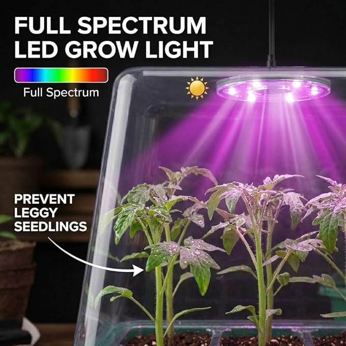 Seed Starter Kit with Grow Light, Elevated Seedling Tray Kit with Adjustable Humidity Dome and Clear Cell Tray, 12 Full Spectrum Led Beads for Seed Starting Greenhouse, 6 Pack, Green