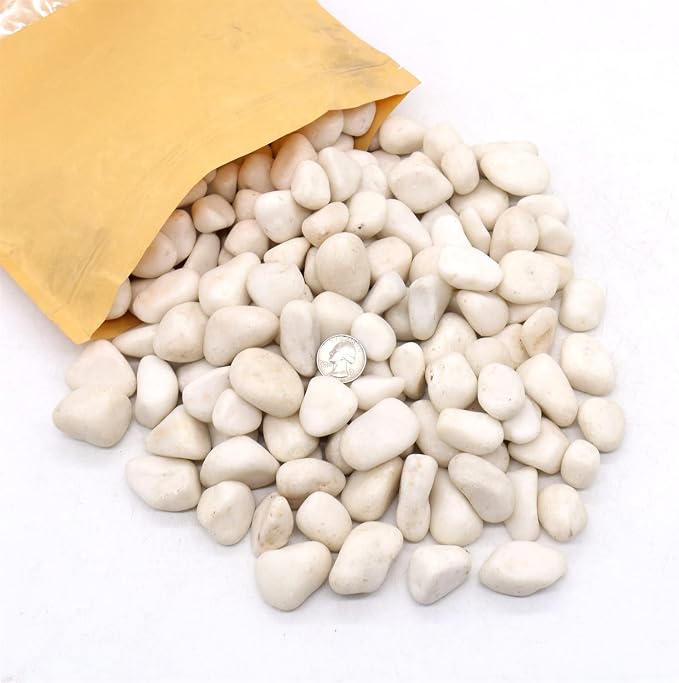 White Rocks for Plants. White Decorative Polished Pebbles. 1 to 2 Inch – 10lbs for Plants, Garden, Succulents, pots, Plants (MD (1 to 2 Inch), White - Lightly Polished, 10)