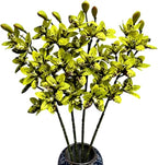 4pcs Artificial Cymbidium Orchid Flower Plant 3D Print Vanda 10 Heads Latex Phalaenopsis Flower (Black Green)