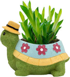 EOBTAIN Cute Turtle Planter for Indoor Plants Green Animal Garden Succulent Pots Unique Resin Cactus Pot with Drainage Hole Plant Containers Flowerpot for Home Office Desktop Decor Gifts for Women