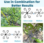 8 PCS Plant Stem Support, Plant Stakes for Indoor Plants Plant Clips for Climbing Plants, Plastic Monstera Plant Support Accessories for Potted Indoor Plant in Various Growth Stage(4 Sizes, 2 Colors)