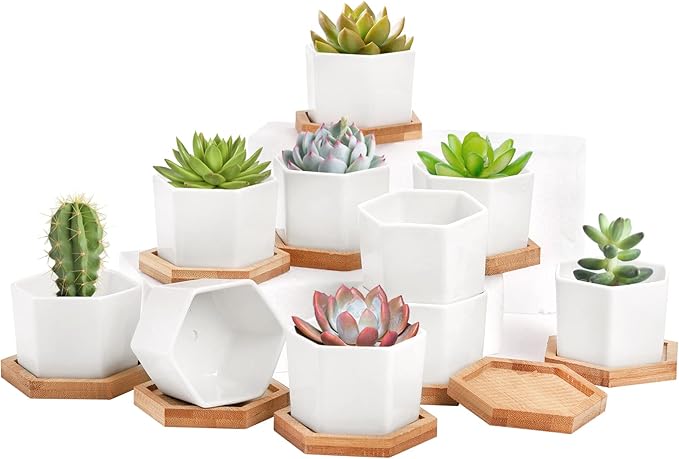 Foraineam 10 Pack Mini Succulent Plant Pots, 2.76 inch Hexagonal White Ceramic Succulent Cactus Planters with Bamboo Tray
