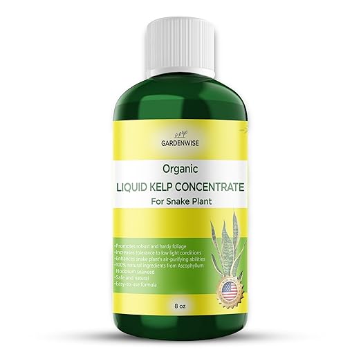 GARDENWISE Organic Seaweed Kelp Liquid Fertilizer for Snake Plant (Sansevieria, Dracaena trifasciata) - Snake Plant Fertilizer - Snake Plant Food - Live Plant Care (8 OZ)