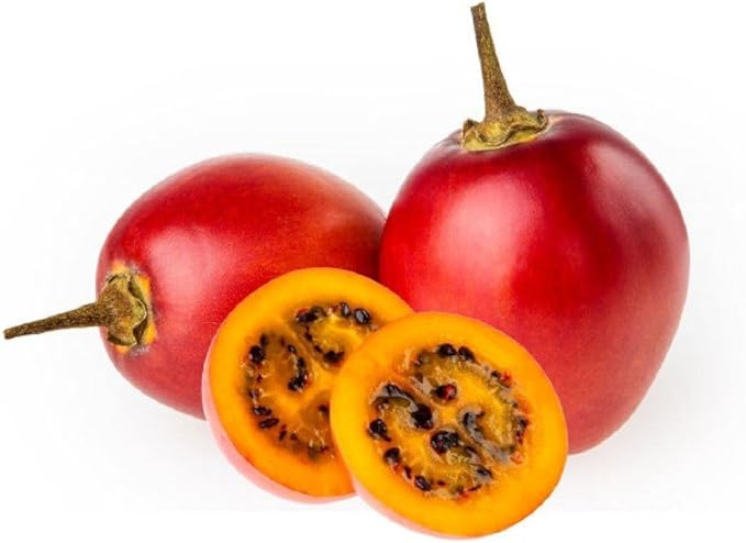 Tamarillo Tree Tomato Tamamoro Tomate de Arbol Seeds 35 PCS