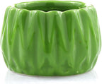 Live Lucky Bamboo 2 Stalk Love Arrangement in Round Green Ceramic Planter - 4 and 6 Inches Lucky Bamboo Indoor Potted House Plant for Home and Office Decor