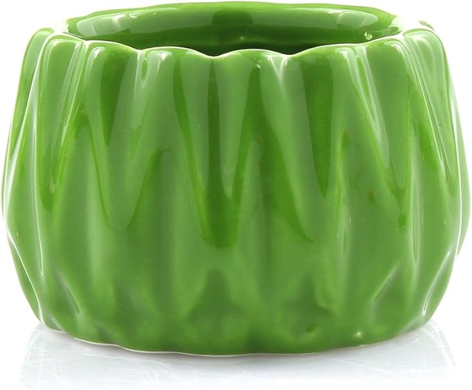 Live Lucky Bamboo 2 Stalk Love Arrangement in Round Green Ceramic Planter - 4 and 6 Inches Lucky Bamboo Indoor Potted House Plant for Home and Office Decor
