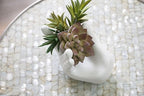 4 Pack Air Plant Holders Unique Ceramic Mini Airplants Stand Tillandsia Succulent Display Container Pot Cute Home Decor for Desk Table Shelf Window, White