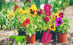 Gardening Tools Trowel, Rake, Shovel, Spoon, Fork for Gardening Tools Best Outdoor Easter Gift