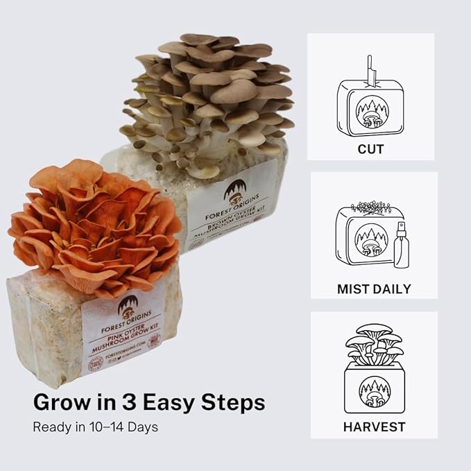 Forest Origins Oyster Mushroom Grow Kit 2-Pack, Pink and Brown Varieties, Harvest in 10 Days, Beginner Friendly, Handmade in California USA, Unique Gift Set
