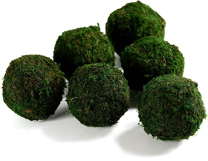Farmoo Moss Balls Preserved All Natural, 3.5"-Set of 6 (Natural Green)