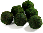 Farmoo Moss Balls Preserved All Natural, 3.5"-Set of 6 (Natural Green)
