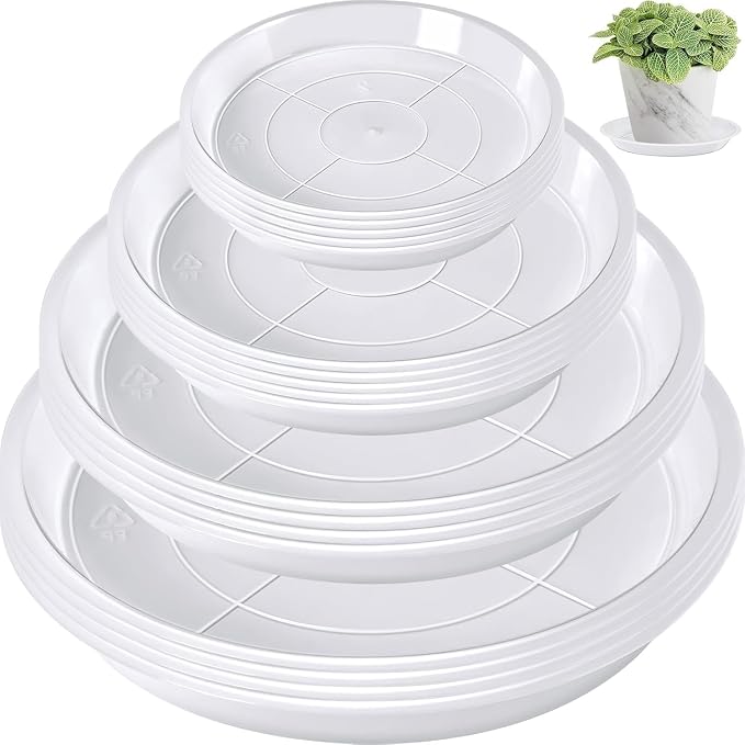 Augshy 18-Piece Flowerpot Tray, Clear Plant Pot Saucers, Reliable Plant Trays for Pots,4/6 Inches Transparent Plant Pot Trays, Water-Repellent Plant Saucers for Gardens, Balconies and Indoors