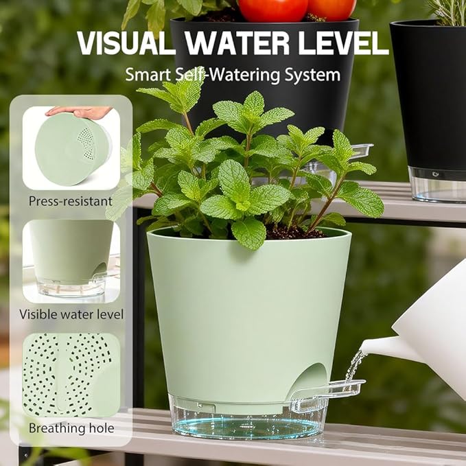 Self Watering Pots for Plants, 2026 New Flower Plant Pots with Drainage Holes, Wicking and Clear Reservoirs for Succulent, Aloe, Cacti and Others - 6 Pack (Colorful, 6")
