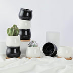 SHECIPIN 12 Pack Succulent Plant Pot, Mini 2.6 inch Ceramic Flower Planter Pot with Bamboo Tray, Small Pots for Plants, Plants Not Included （White, Black）