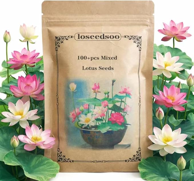 100+ Mixed Lotus Seeds for Planting – Aquatic Lotus Flower Seeds for Pond, Bowl & Water Garden, Easy Grow Water Plant, Colorful Blooming Lotus for Containers