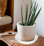 4 Pack of 14 inch Plant Saucers Bird Bath Bow Round, Plastic Plant Saucer Tray for Pots, White Planters for Indoor Plants, Plant Trays for Planter 12-15" (14", Clear)