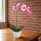 Artificial Orchid Flowers in Pot, 12" Real Touch Phalaenopsis Faux Orchid Plant with Fake Moss, Small Artificial Flowers Arrangement for Home Decor Indoor, Bathroom, Office Table C (Rose Red)