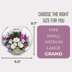 Fiora Flower Elegant Orchid Arrangement in Glass Vase | Preserved Real Orchids Lasting 5 Years | Ideal for Home Decor or Romantic Gift