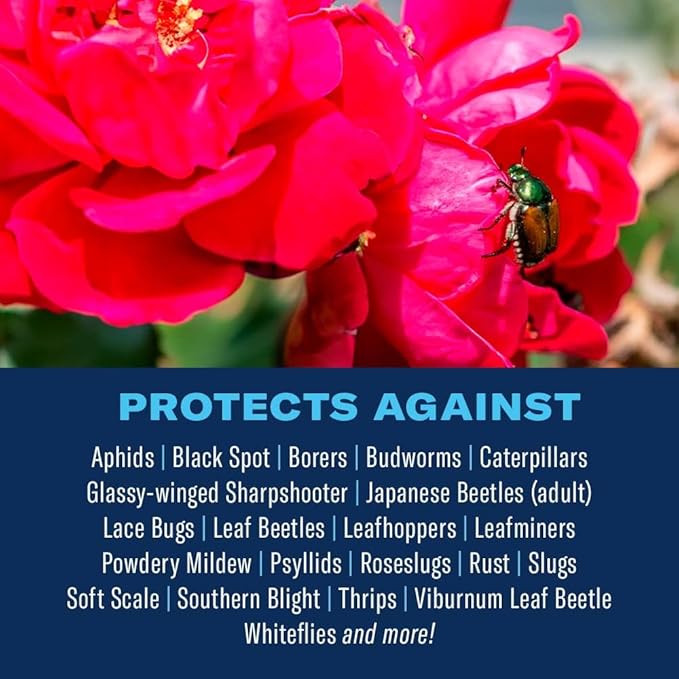 BioAdvanced All-In-One Rose and Flower Care Fertilizer, Granules, 4 lb