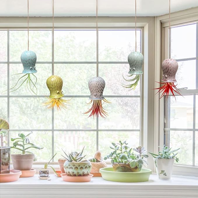 5 Pack Air Plant Holder Unique, Cute Octopus Air Plant Hanger Wall Planter, Ceramic Tillandsia Airplants Holders Hanging Wall Decor for Home Office (Small ( 2 x 3.2 in))