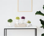 Zerzsy 4PCS Small Artificial Succulent Plants with Creative Human Shaped Pots, Fake Desk Plant Greenery Potted for Home Office Indoor Shelf Decoration (White)