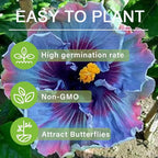 105+ Annual Mixed Hibiscus Flower for Planting Outdoor-Perennials Hibiscus Garden Plants