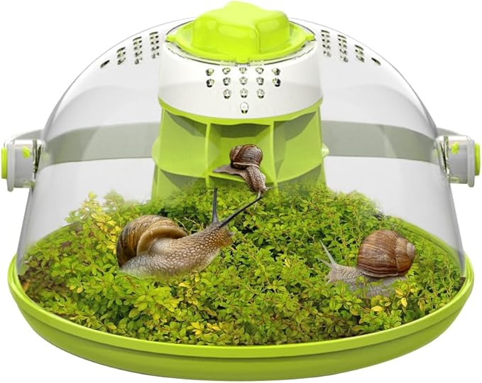 Snail Terrariums Breeding Box, Round Habitat Starter Terrarium Kit, Transparent Feeding Box, Ideal for Beetles, Spiders and Small Reptile