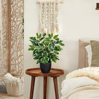GnFlus Fake Plant 15.7” Artificial Plants Indoor Small Ficus Potted Plants Silk Plants Faux Topiary Plant for Home Bathroom Bedroom Dining Room Kitchen Window Shelf Desk Centerpieces Tabletop Decor