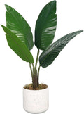 Garvee Set of 2 Realistic Artificial Fiddle Leaf Fig Trees – Decorative Faux Greenery for Home or Office – White Marble Pots – Mini Traveler's Banana – 50cm – Two