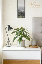 Muhanjia Artificial Potted Plant, Lifelike Faux Greenery in Decorative Cement-Look Square Pot for Indoor Home Decor Centerpieces (Polka Dot Begonia)