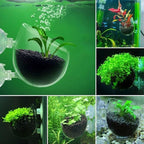 JJLFresheners 2Pcs Aquarium Plant Pot, Glass Fish Tank Plants Holder Aquarium Planter, Decoration Plants Cup with Suction Cups for Fish Tank Ornament Décor