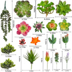 COTSEN 18 Pack Artificial Succulents Realistic Textured Fake Succulents Unpotted Artificial Cactus Plant Suitable for Garden Home Office Greening and Decoration