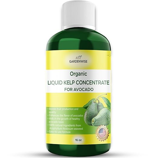 GARDENWISE Organic Premium Kelp Seaweed Fertilizer - Liquid Plant Food - Nutrient-Rich Soil Enhancer - Improves Fruit Yield and Quality - Natural Plant Food for Avocado Tree (16 OZ)