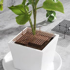 4 Pcs Plant Pot Cover Plant Protector from Animal 30cm/11.8" Plant Pot Grid with Center Cutout Flower Cover Soil Protectors for Plants (Black)