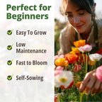 HOME GROWN California Poppy Mission Bells 2200 Seeds (2g) – Flower Seeds for Planting Outdoors, Vibrant Spring & Summer Blooms, Drought Tolerant Annual for Sunny Gardens (Eschscholzia californica)