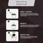 Rosy Soil Plant Food - Microbially Active Fertilizer for Houseplants, Herbs, Flowers – Enriched with Biochar, Kelp, and Worm Castings – Organic Food for Healthy Growth – 4 Quarts