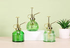 Glass Plant Mister - 6.5" Green Glass Water Spray Bottle with Gold Top Pump, Small Plant Sprayer for Indoor/Outdoor House Plants
